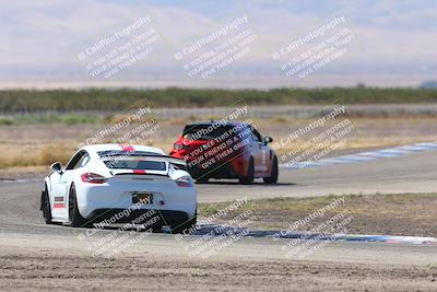 media/Oct-04-2025-OnGrid (Sat) [[44bd565ffa]]/Green Group/Grapevine/